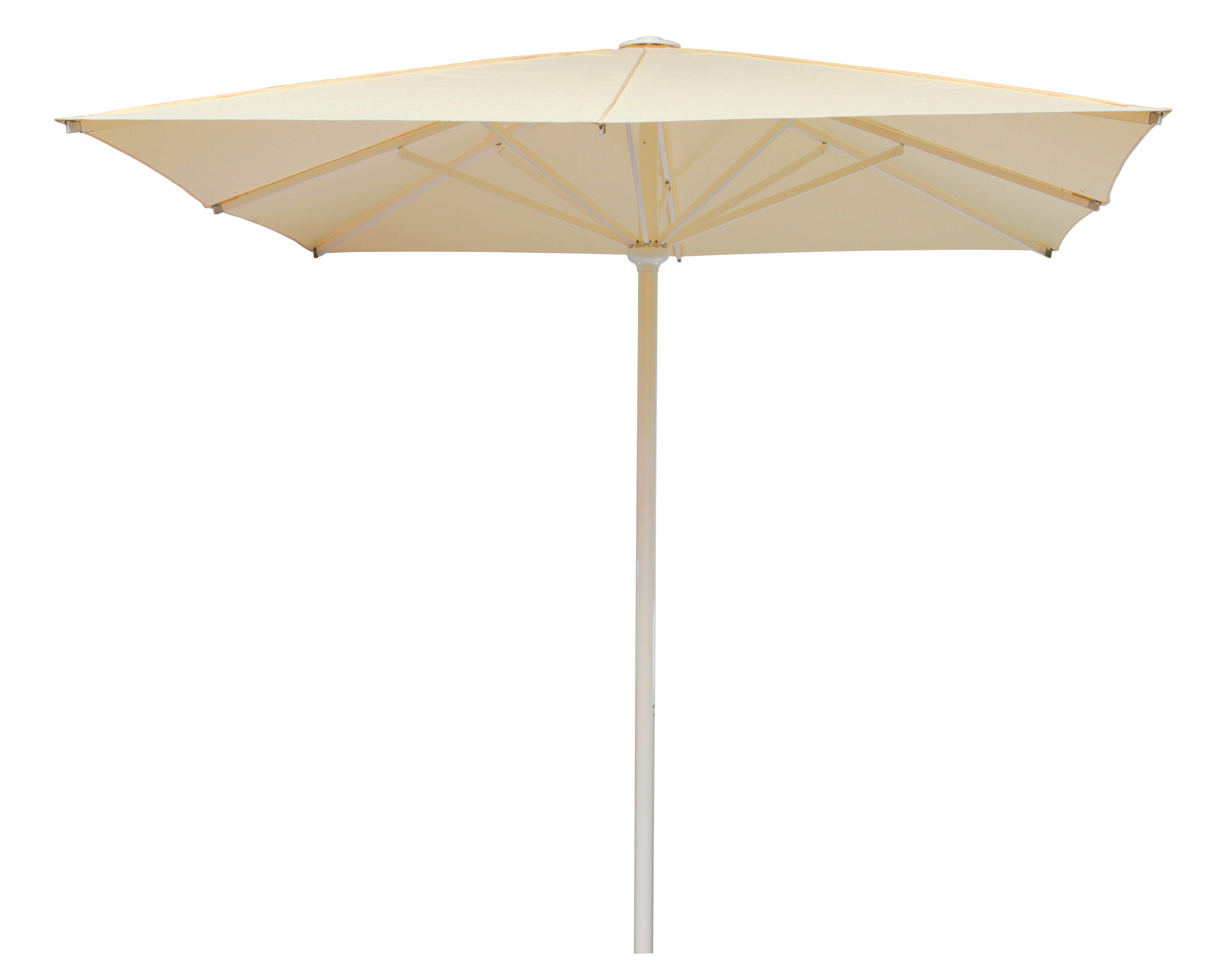 Filius mit Seilzug FS